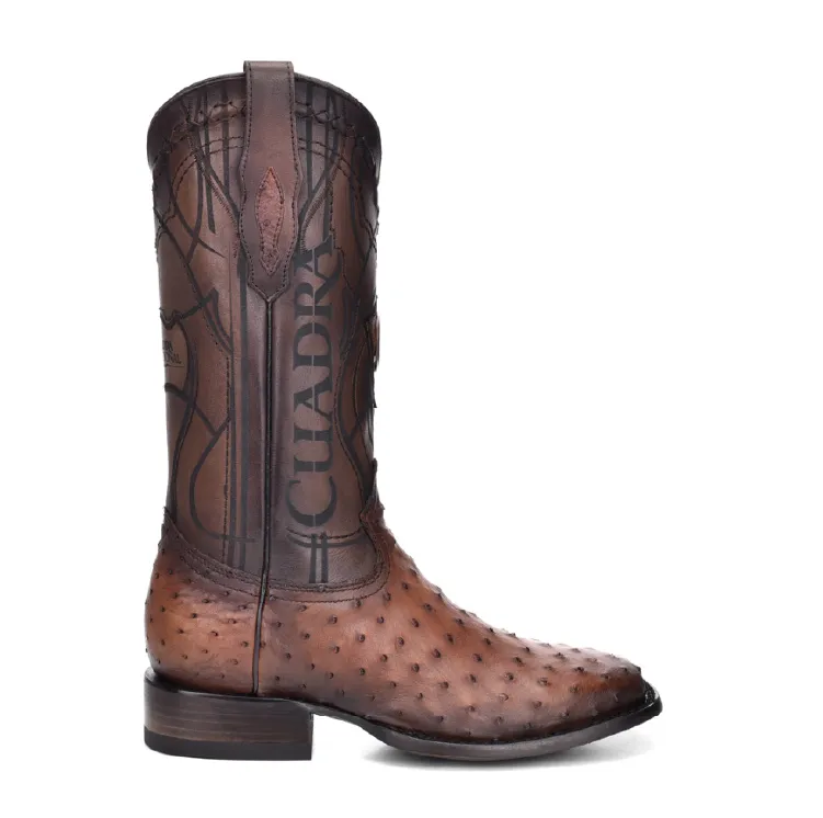 3Z1OA1 - Cuadra chestnut brown cowboy rodeo ostrich boots for men