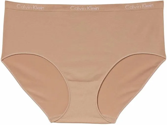 Calvin Klein Women's Stretch Seamless Modern Brief 3-Pack Panties