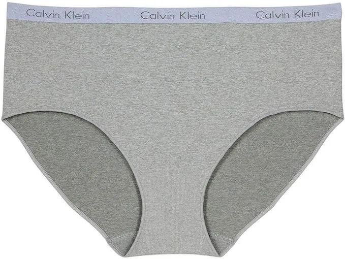 Calvin Klein Women's Stretch Seamless Modern Brief 3-Pack Panties