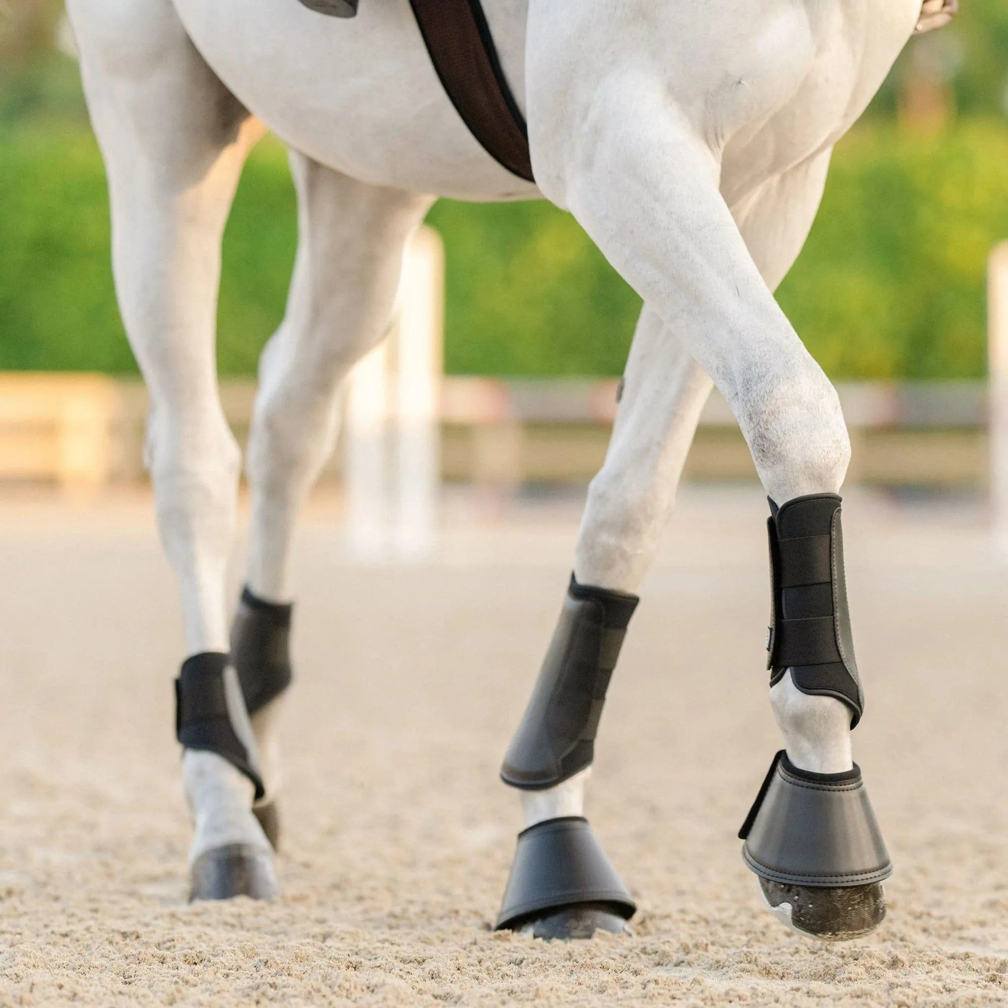 EquiFit Essential EveryDay Hind Boot