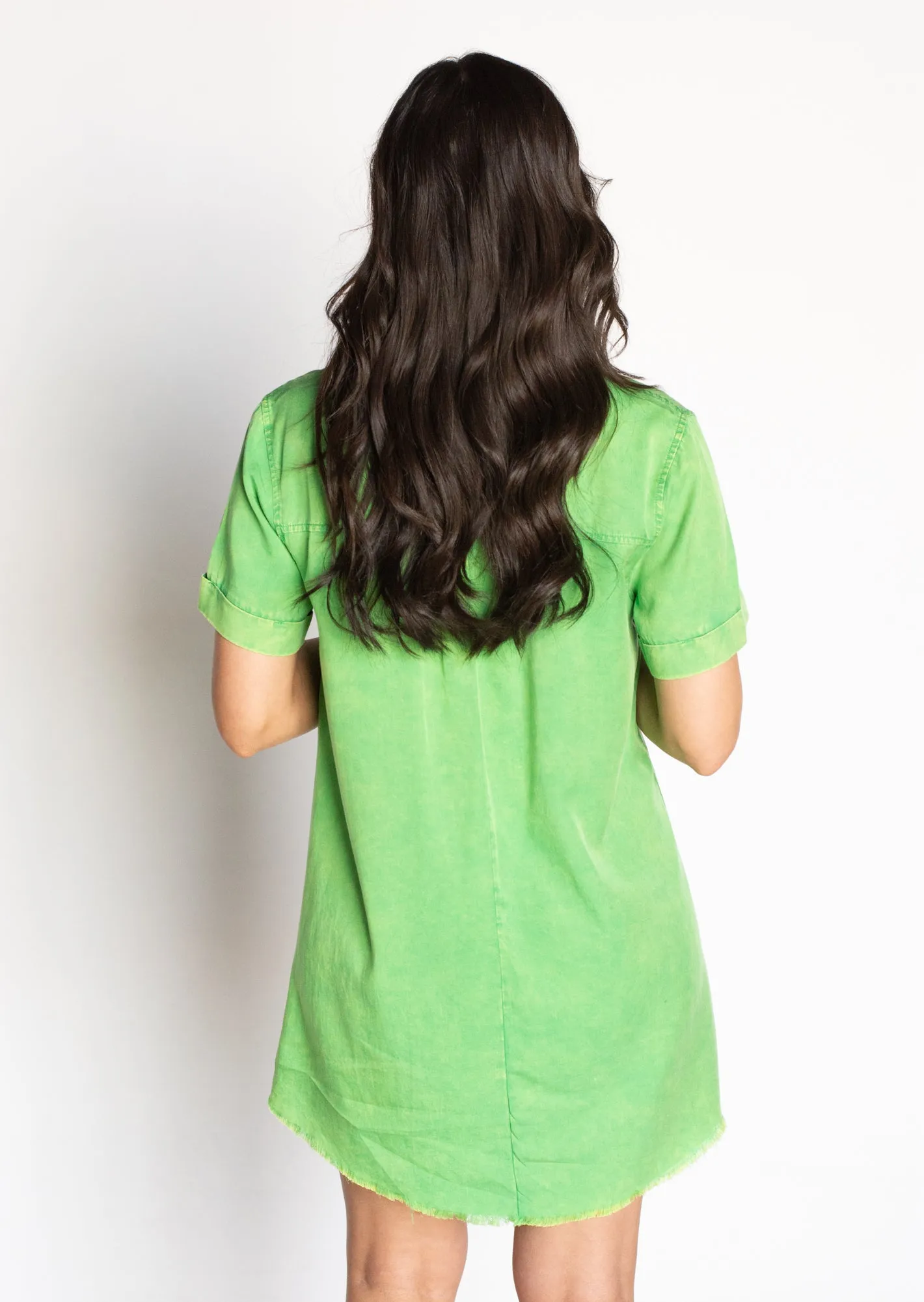 Loving the Sunshine Green Chambray Dress