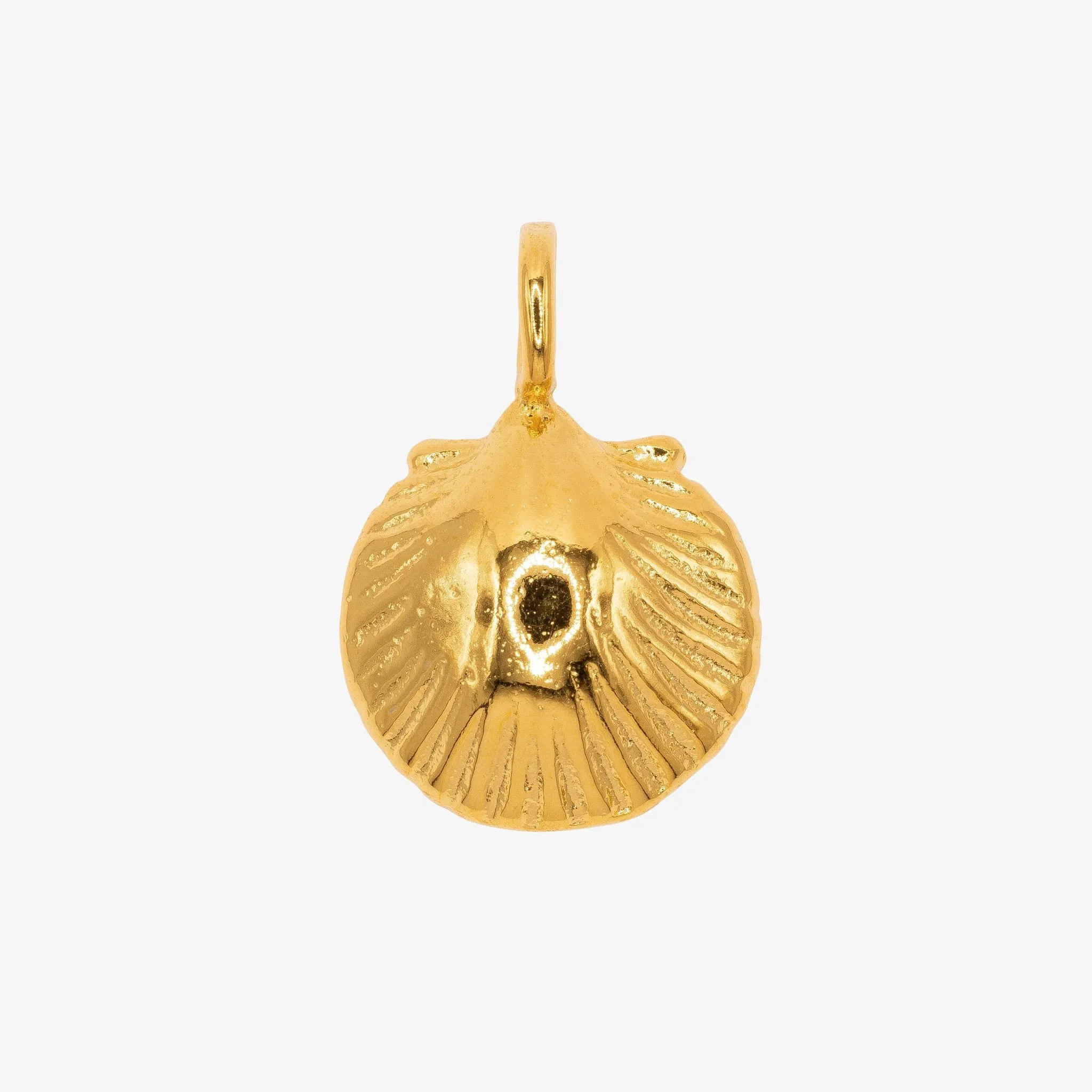 Sea Shell Charm Wholesale 14K Gold, Solid 14K Gold